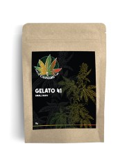 Gelato41_edit
