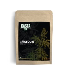 SmallBuds_harlequin