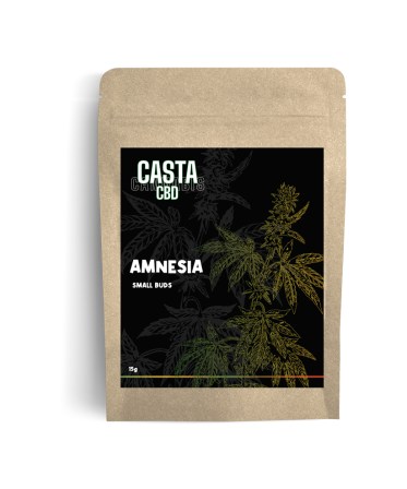 amnesia